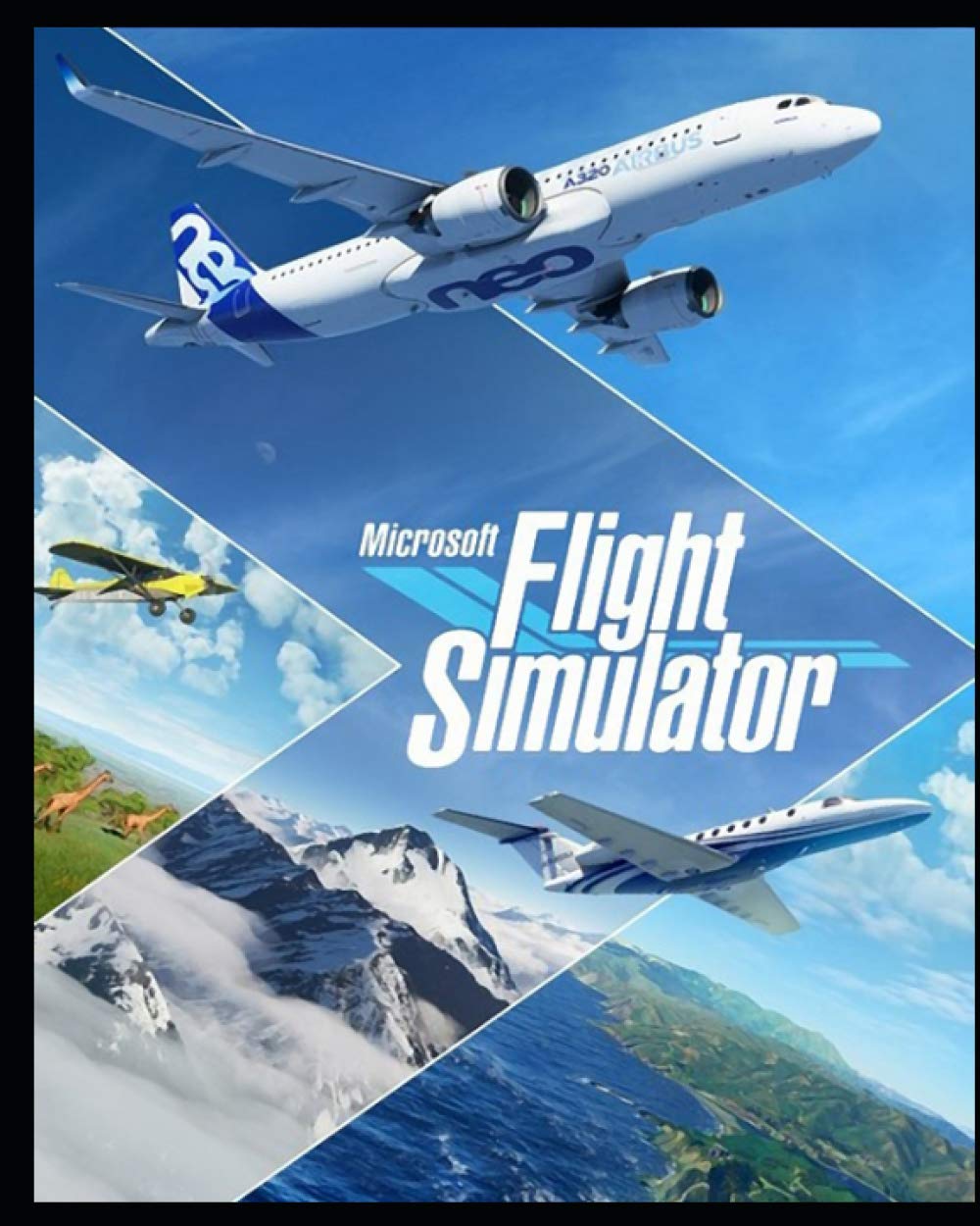 jaquette de Microsoft Flight Simulator sur PC