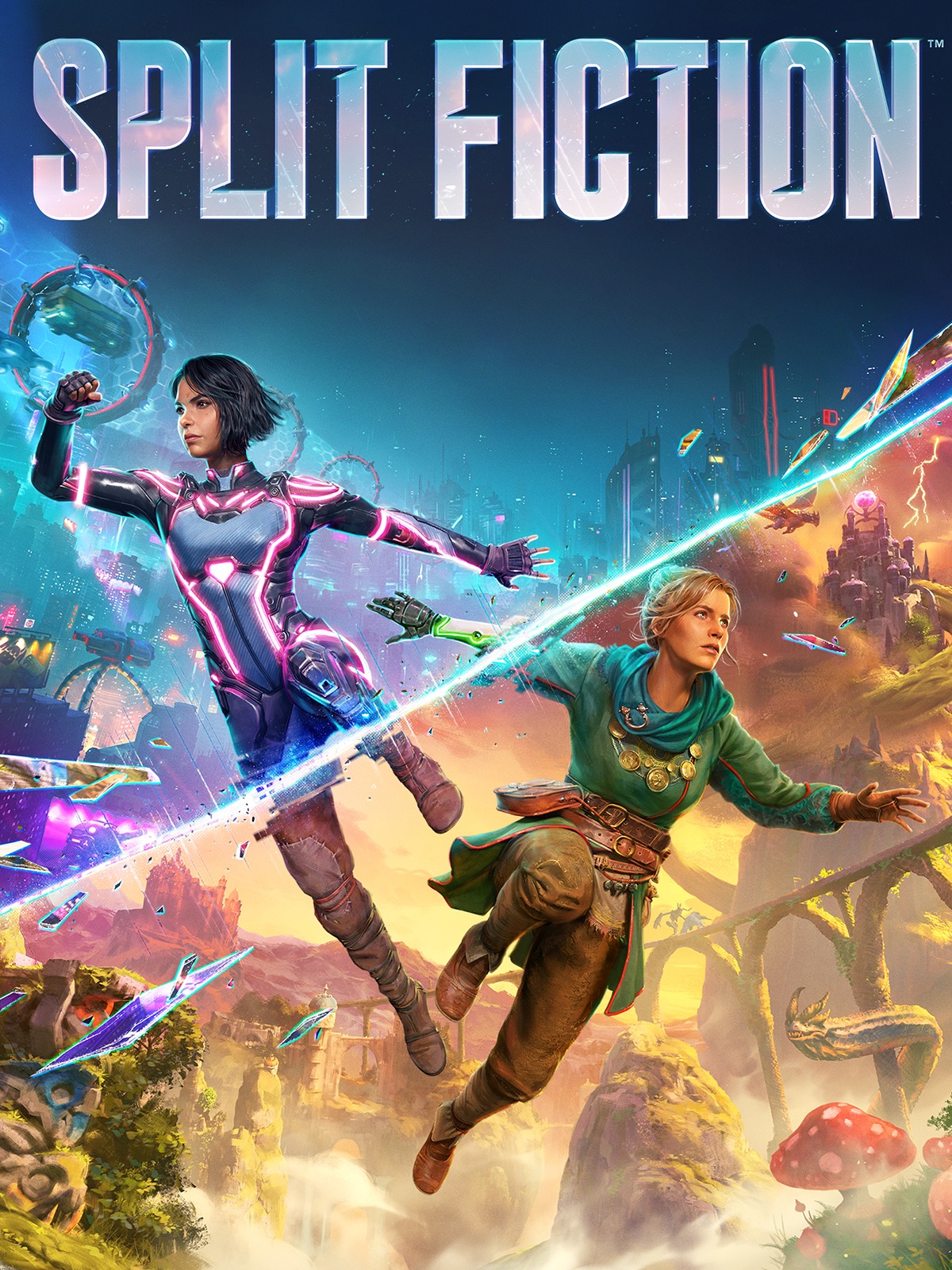 jaquette de Split Fiction sur PC
