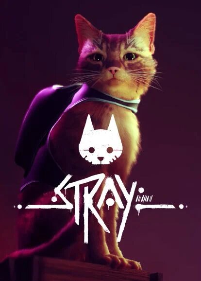 jaquette de Stray sur PC